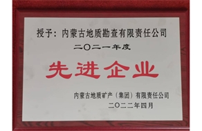 先進(jìn)企業(yè)